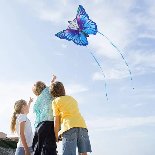 Miniatura 7 de Kite for Kids & Adults, Easy to Fly Large Kites for Beginner, Beach Kites with Durable Nylon, Family Fun Activities
