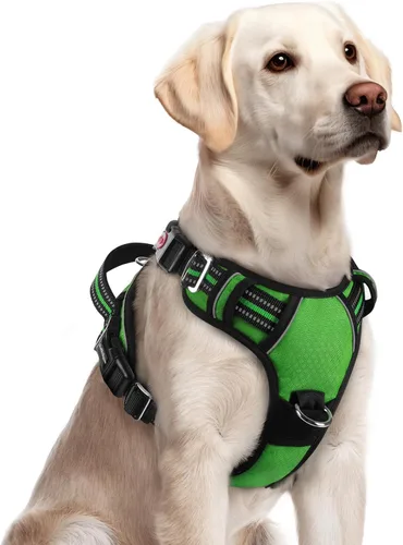 Miniatura 57 de rabbitgoo Arnés para perro de tamaño pequeño, chaleco para perro sin tirones con 3 hebillas, arnés ajustable y acolchado suave para mascotas con asa