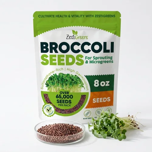 ZestiGreens Semillas de brócoli para germinar 8 onzas – Semillas de microgreens orgánicas sin OMG – Brotes de brócoli ricos en sulforafano,
