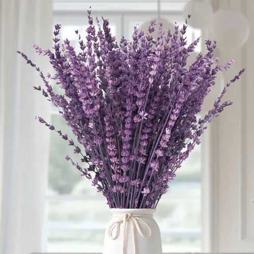 Miniatura 7 de Iory White - Paquete de 180 flores secas de lavanda secas, ramo de lavanda blanca crema blanqueadora real para el hogar, boda, decoración