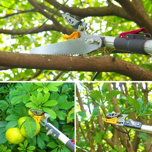 Miniatura 4 de Podadora de árboles extensible de 5.6 a 13 pies, recortadora de poda, sierra de poste de largo alcance, recogedor de frutas telescópico, Sierra
