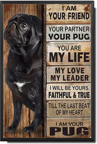 Miniatura 30 de Letrero de Metal Letrero de Hojalata Arte de Pared Vintage I Am Your Friend Regalo para Amantes de Schnauzer Arte de Pared Vintage Impresiones