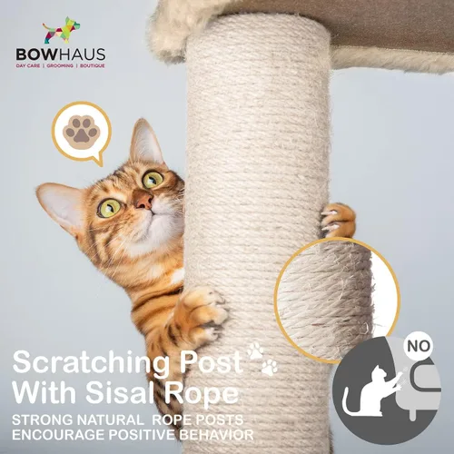 Miniatura 5 de BOWHAUS Árbol alto para gatos grandes o gatitos de interior, árbol de actividades para gatos de varios niveles con postes rascadores, hamaca