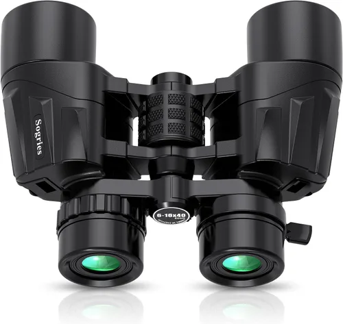 Prismáticos 6-16x40 HD Zoom para Adultos, Alta Potencia, Gran Vista, Prisma BAK4, Impermeables, Visión Clara con Poca Luz para Observación de Aves,