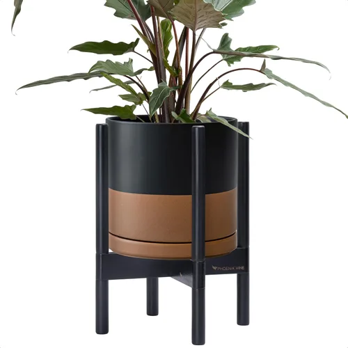 Miniatura 109 de D'vine Dev Maceta de cerámica con soporte de ébano – Maceta redonda moderna de 8 pulgadas con soporte para maceta de madera, color negro, 55-B-M-2