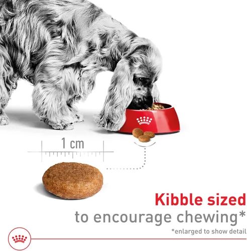 Miniatura 4 de Royal Canin Size Health Nutrition - Alimento seco para perros adultos medianos, bolsa de 4 libras