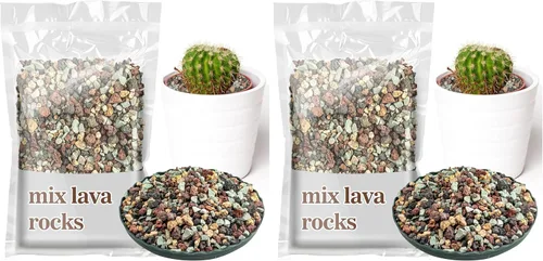 Miniatura 7 de Sukh Suelo de gránulos para suculentas hortícolas de 1 libra, mezcla de bonsái, rocas de lava, cactus y suelo, enmienda de mezcla para macetas