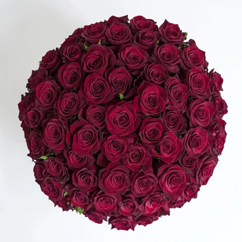 Miniatura 28 de GlobalRose Ramo de 100 Rosas Melocotón - Rosas de Origen Responsable Flores Frescas - Ramo Fresco de Flores Seleccionadas a Mano para Graduación