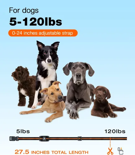 Miniatura 4 de Bousnic Collar de choque para perro, collar de entrenamiento para perros de 3300 pies con control remoto para perros pequeños, medianos y grandes