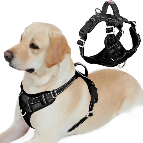 Miniatura 42 de BARKBAY Arnés para perro sin tirones con bolsillo para etiqueta de identificación, resistente, reflectante, fácil control para perros grandes