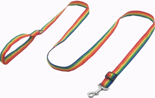 Miniatura 10 de TAIAN Correa ajustable de nailon para perro, correas de perro de 6 pies de largo para perros medianos y grandes