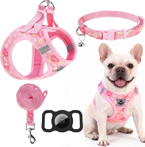 Miniatura 26 de EXPAWLORER Arnés Clásico de Plátanos para Cachorros - Juego de Arnés y Correa para Perros Pequeños - Juego de Collar y Correa para Perros con Azul