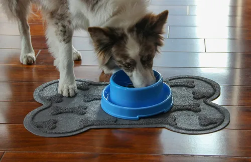 Miniatura 3 de PetLike Paquete de 2 cuencos a prueba de hormigas para perros y gatos, cuencos de agua para alimentos para mascotas con foso, platos antideslizantes