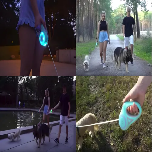 Miniatura 3 de Correa retráctil para perro de 10 pies – Correa reflectante resistente para perros grandes, medianos y pequeños – Línea larga sin enredos con mango