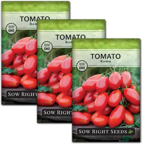 Sow Right Seeds - Semillas de tomate Roma para plantar - Paquete de reliquia sin OMG con instrucciones para plantar un huerto casero - Tomate rojo