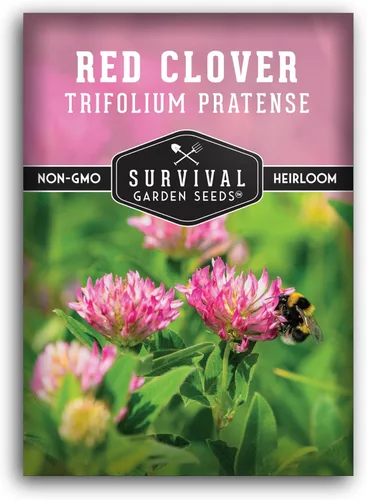 Survival Garden Seeds - Semilla de trébol rojo para plantar - 1 paquete con instrucciones para plantar y cultivar una hierba medicinal y una