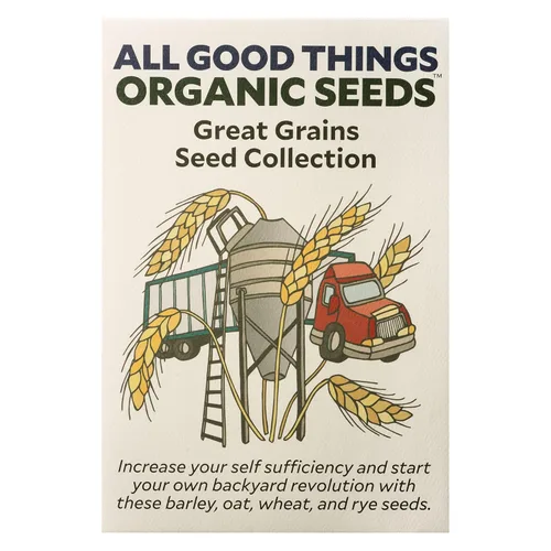 Miniatura 10 de All Good Things - Semillas de avena orgánicas comunes para plantar: cultivo de cobertura, granos integrales de cáscara, paquete de 275 semillas