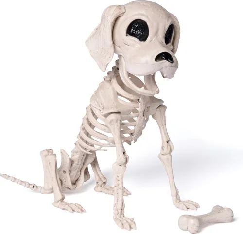 JOYIN Esqueleto de perro de Halloween posable de cuerpo completo con articulaciones articuladas realistas con articulaciones móviles para decoración