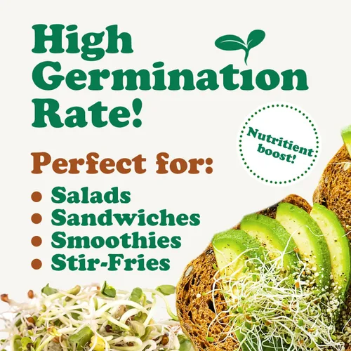 Miniatura 6 de Mezcla orgánica picante de semillas germinantes, 3 libras, brócoli sin OMG, rábano, alfalfa, crudo, tasa de germinación rica, no irradiada, pura