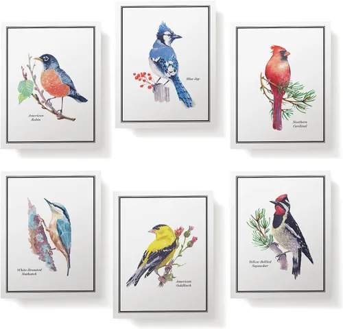 Miniatura 3 de Twigs Paper - Tarjetas de felicitación de aves americanas surtidas - Tarjetas de papelería con sobres, tarjeta de agradecimiento, tarjetas de notas