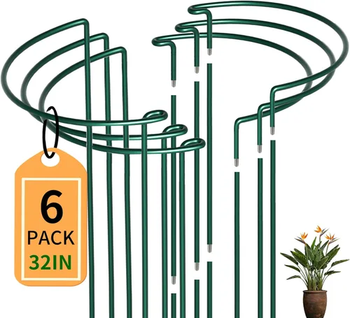 Miniatura 11 de TCBWFY Paquete de 10 estacas de soporte para plantas de peonía, 10 pulgadas de ancho x 24 pulgadas, jaulas de peonía de alta resistencia de 0.177 in
