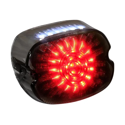 Luz trasera LED para motocicleta, luz trasera roja, intermitente, luces de freno de perfil bajo, repuesto para Harley Dyna Sportster 883 1200 Road