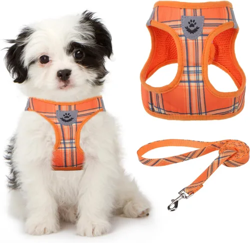 Miniatura 26 de Arnés de malla suave para cachorros – Juego de arnés y correa para perros pequeños, ajustable y cómodo chaleco reflectante acolchado para cachorros