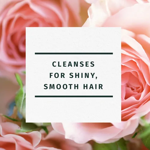 Miniatura 8 de Herbal Essences Champú Rose Hips - Cabello suave y brillante con vitamina E y jojoba, seguro para cabello teñido y aroma floral, libre de crueldad