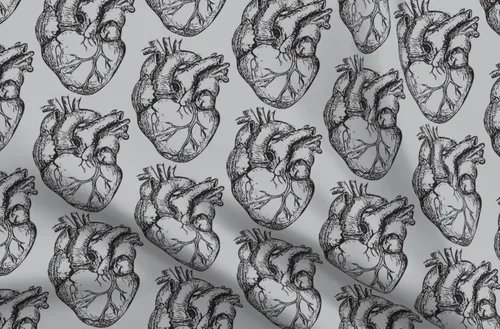 Spoonflower Tela - Corazones anatómicos suaves gris corazón ciencia biología médica negro impreso en tela de gasa Fat Quarter - Costura de moda