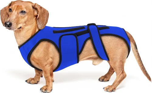 Miniatura 8 de Soporte de espalda para perros con artritis, soporte de espalda de movilidad IVDD para mascotas, fuerte apoyo de estabilidad de la columna vertebral