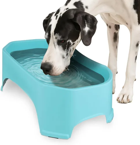 Miniatura 22 de Neater Pet Brands Cuencos para gatos de gran capacidad, cuenco de agua para gatos, reptiles, pollos, aves y animales pequeños, cuenco de comida