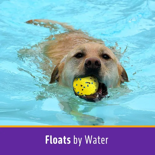 Miniatura 5 de Kimee Pelotas de tenis para perros, juguetes para masticadores agresivos, juguete de agua flotante, juguete de dentición y búsqueda para perros