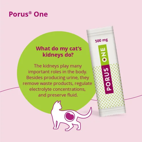 Miniatura 5 de Porus One, 500mg, 30ct