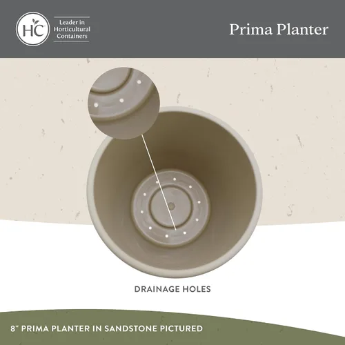 Miniatura 3 de The HC Companies Maceta redonda de plástico Prima con borde enrollado - Maceta para flores ligera y resistente a los rayos UV para hierbas y más