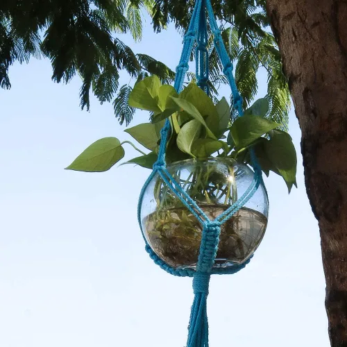 Miniatura 6 de Tenn Well Cordón de algodón trenzado, 165 pies 5mm de ancho cuerda de algodón de macramé para colgadores de plantas, colgantes de pared, Azul