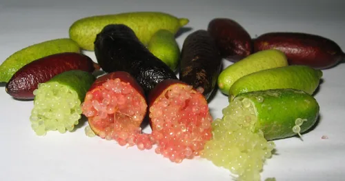 Miniatura 3 de Finger Limes más bien conocidas como caviar cítrico (0.18 onzas)