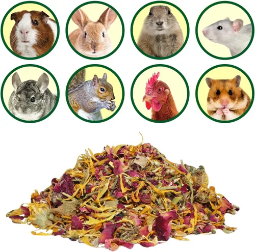 Miniatura 4 de Exotic Nutrition Herbivore Treats - Paquete de 6 golosinas saludables para animales pequeños – Ardillas, cobayas, conejos, chinchillas, perros