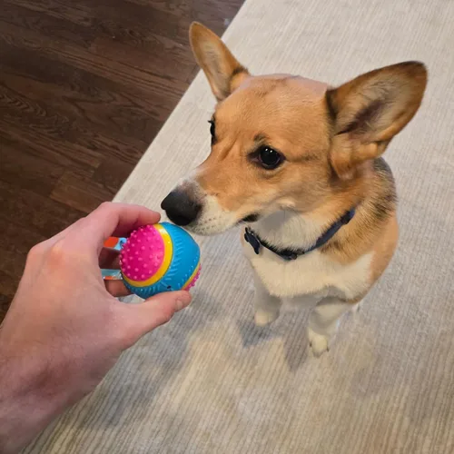 Miniatura 9 de Bola de juguete para perros Ethical Pets Sensory Ball, 2.5", Colores Variados