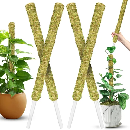 Miniatura 18 de DUSPRO Postes de musgo de malla plana para plantas trepadoras, Monstera, poste de musgo apilable para plantas con musgo real, poste para plantas