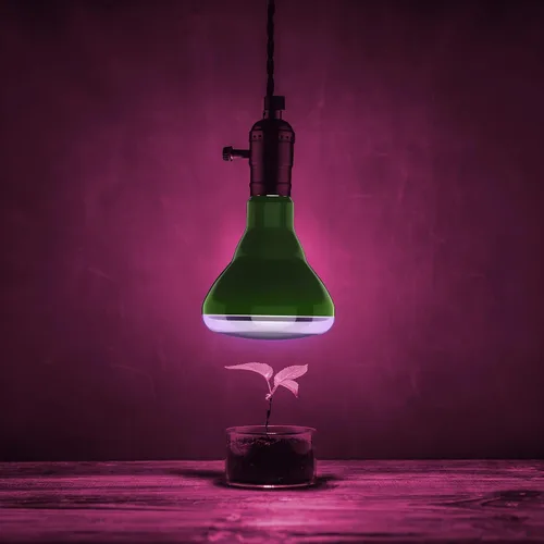 Miniatura 3 de Feit Electric - Bombilla LED de espectro completo BR30/GROW/LEDG2/BX equivalente a 65 W BR30 no regulable Hydro Grow