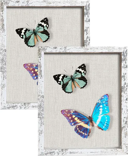 Miniatura 33 de Marco de caja de sombra pequeña de 5 x 5 con parte trasera de lino, resistente vitrina de memoria de flores, imágenes, medallas y más, color negro