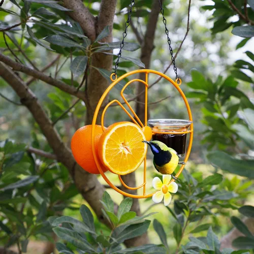 Miniatura 6 de FORUP Oriole - Comedero para pájaros para jalea y naranjas al aire libre, comedero para pájaros de jalea de Oriola de fruta naranja, para jardín al