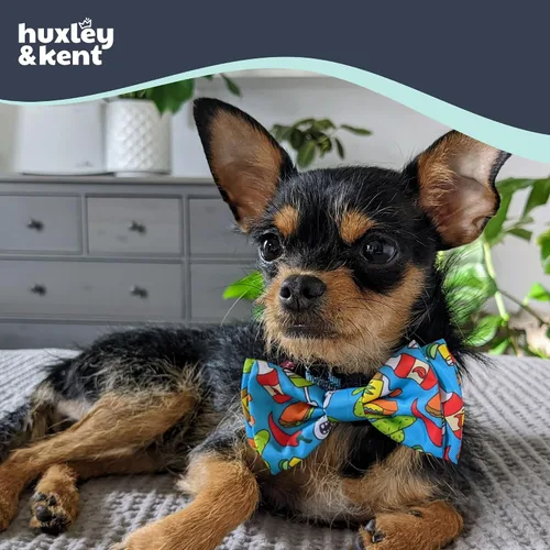 Miniatura 5 de Huxley & Kent Pajarita para mascotas Cinco de Mayo Velcro Bow Tie Collar Accesorio Divertidas pajaritas para perros y gatos Bonita, cómoda