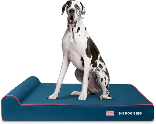Miniatura 34 de The Dog's Bed - Cama Ortopédica para Perros con Reposacabezas XL Negra de Felpa, Espuma Viscoelástica, Alivio del Dolor para Artritis, Displasia