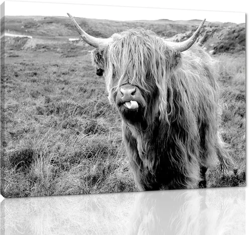 Miniatura 10 de Póster moderno de pared de vaca de las tierras altas, póster impreso en lienzo alpino desierto, decoración de pared de animales para sala de estar