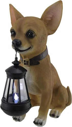 Zeckos Little Light Keeper: Estatua de Chihuahua con linterna LED – Figura de decoración al aire libre para jardín, patio y patio – Compañero