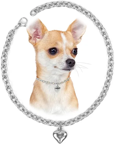 Miniatura 13 de HOWWFALY Collar para Perro y Cadena Collar para Gato de Acero Inoxidable Ajustable Collar en Forma de Corazón de Oro 18K para Mascotas Pequeñas