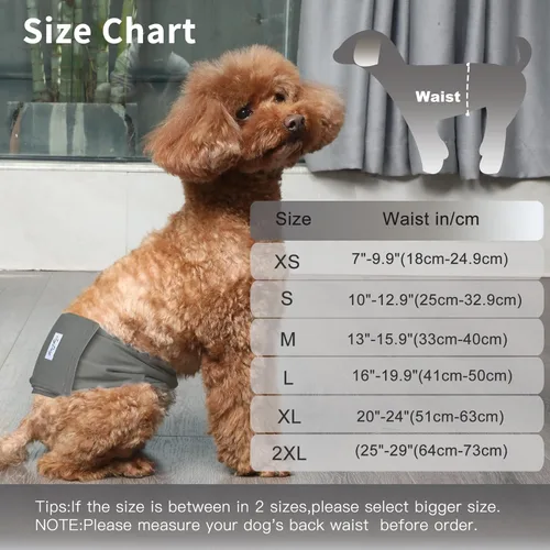 Miniatura 2 de JoyDaog - Pañales reutilizables para cachorros varones, paquete de 5, lavables, bandas reutilizables para el vientre, para perros