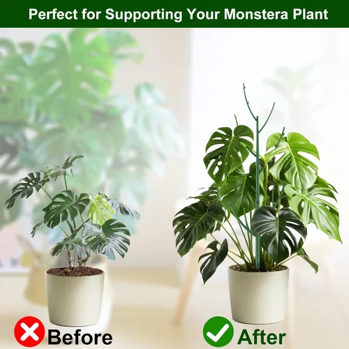 Miniatura 5 de Paquete de 5 estacas de soporte apilables para plantas Monstera para plantas de interior y exterior, accesorios de jardín para plantas trepadoras