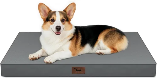 Miniatura 10 de Cama ortopédica de felpa para perros y cachorros medianos, camas impermeables para perros de 30 x 20 pulgadas con funda extraíble lavable, tapete